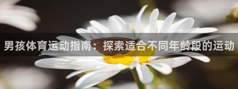 必发88手机版本登录|男孩体育运动指南：探索适合不同年龄段的