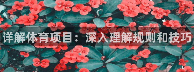 必发集团网站大全|详解体育项目：深入理解规则和技巧