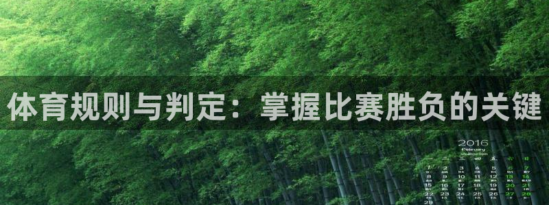 必发集团网站检查线路|体育规则与判定：掌握比赛胜负的关键